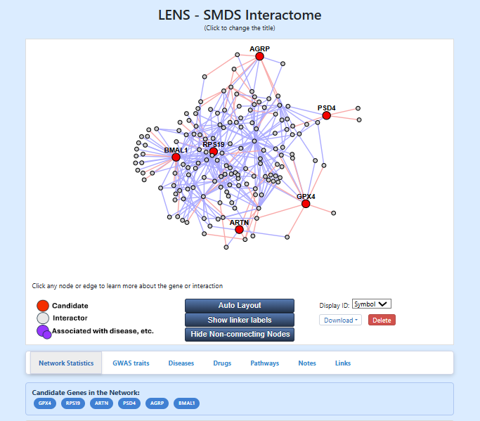 LENS network and enrichment analysis web application